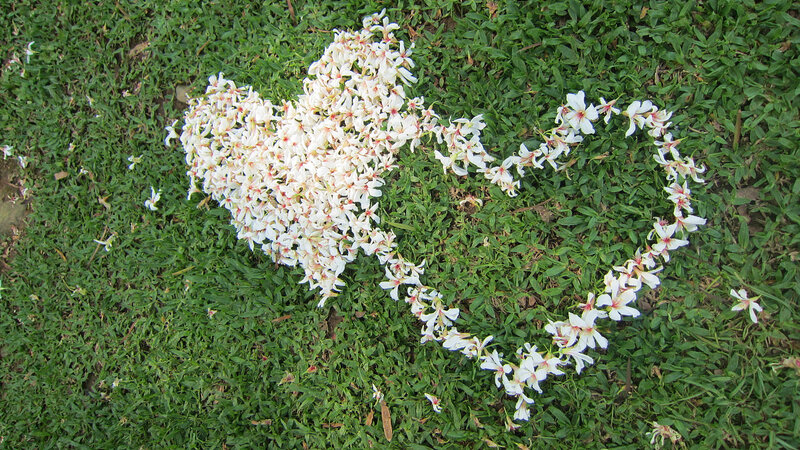 White Flowers in Heart Shape — Green
