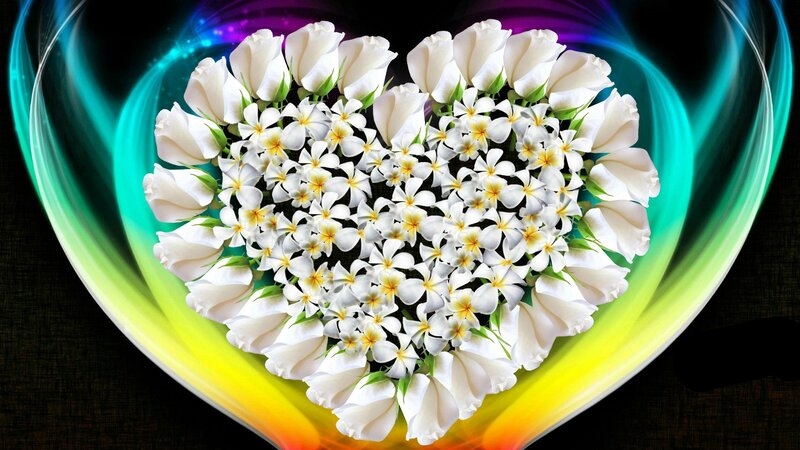 White Flowers in Heart Shape — Serene