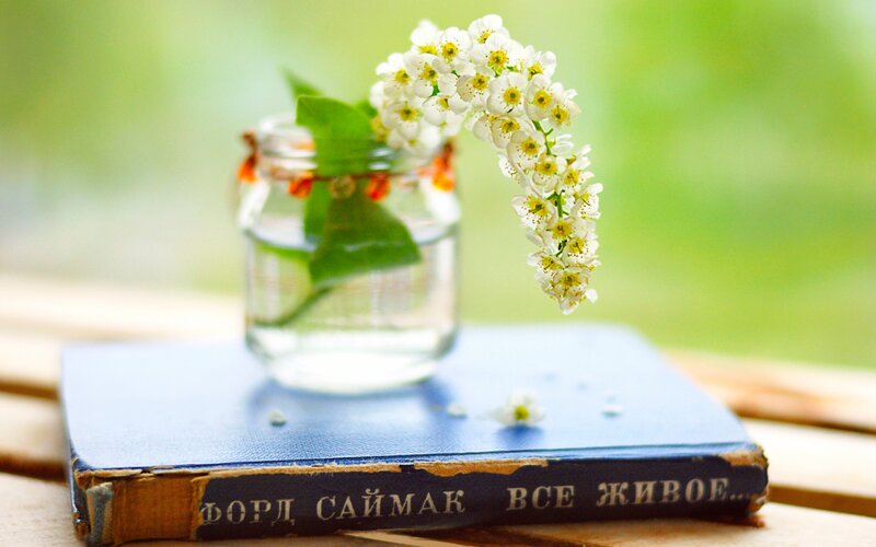 White Flowers in Jar — Blue