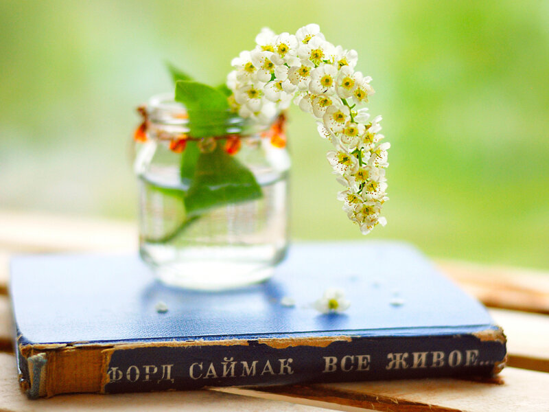 White Flowers in Jar