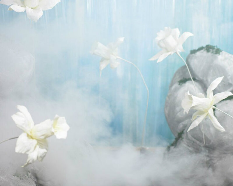 White Flowers in Mist — Ethereal