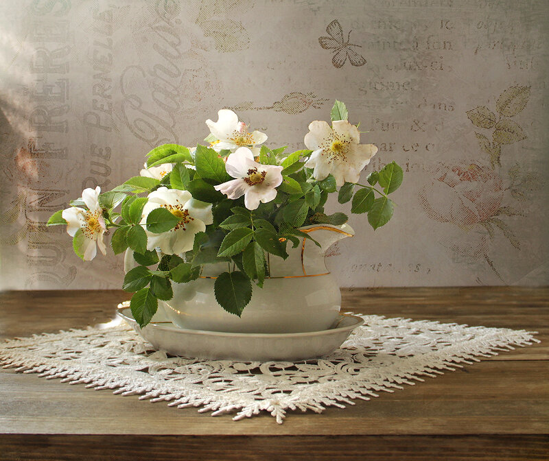 White Flowers in Pitcher — Serene, Photograph, Doily