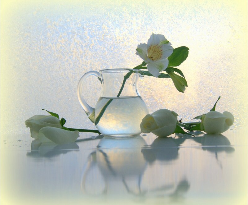 White Flowers in Pitcher — Serene, Photograph, Reflection