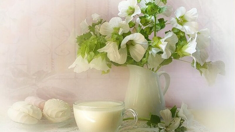 White Flowers in Pitcher
