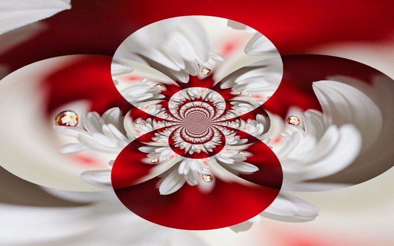 White Flowers in Red Spiral