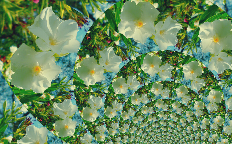 White Flowers in Spiral