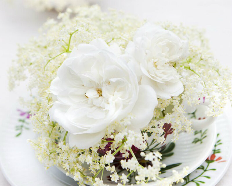 White Flowers in Teacup — Serene