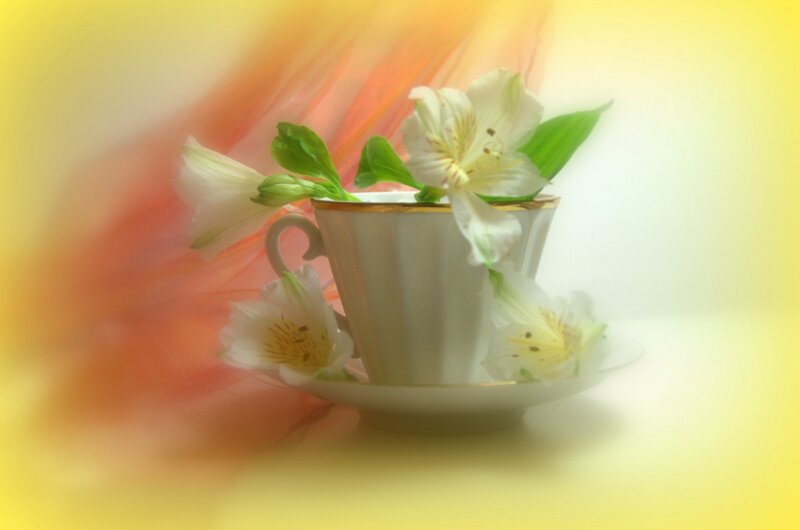 White Flowers in Teacup — Yellow