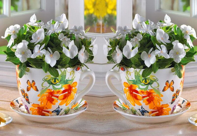 White Flowers in Teacups