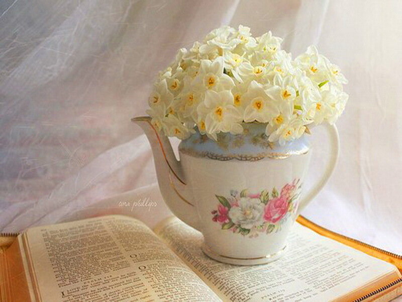 White Flowers in Teapot