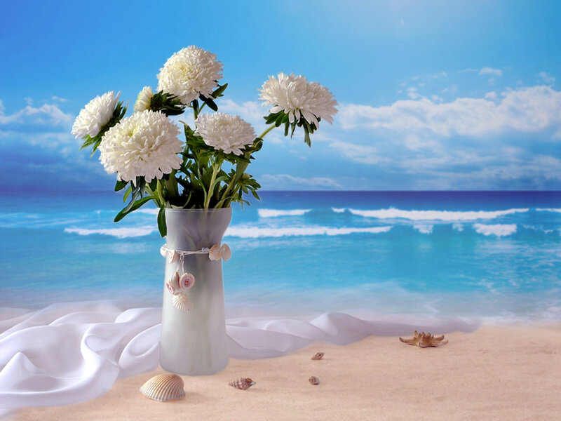 White Flowers in Vase — Blue, Serene, Afternoon