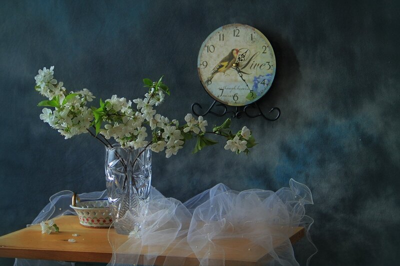 White Flowers in Vase — Blue, Serene, Spring