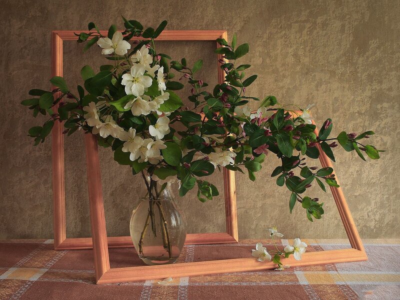 White Flowers in Vase — Brown, Calm, Photograph