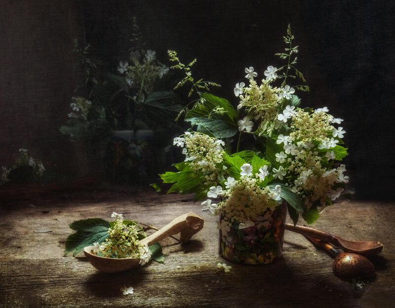 White Flowers in Vase — Brown, Dramatic