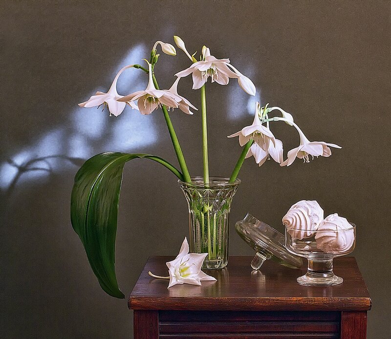 White Flowers in Vase — Brown, Serene, Photograph, Meringues