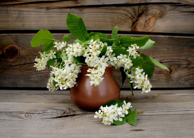 White Flowers in Vase — Brown, Serene, Spring, Photograph
