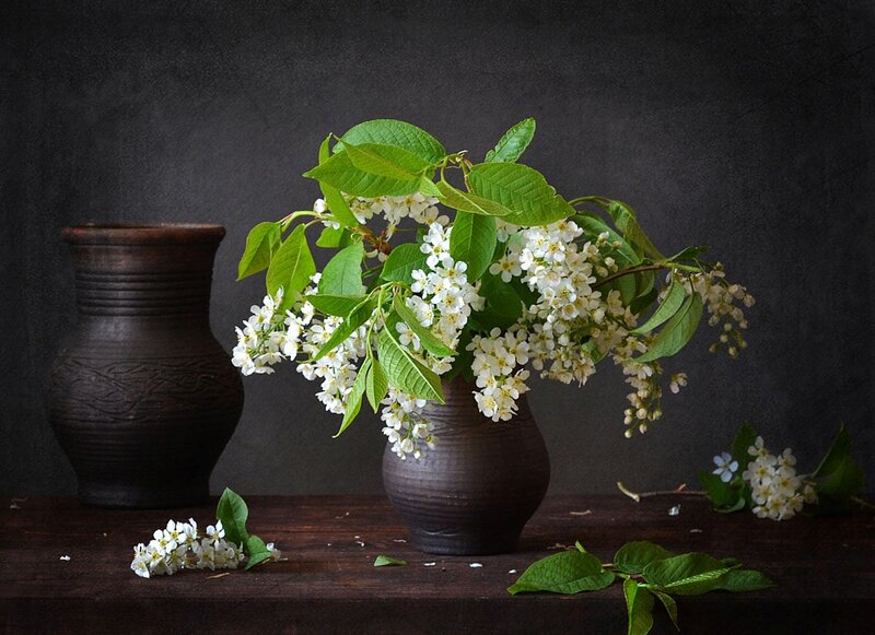 White Flowers in Vase — Brown, Serene, Spring