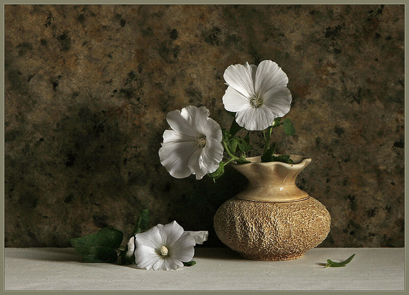 White Flowers in Vase — Brown