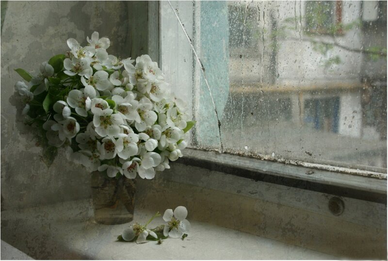White Flowers in Vase — Calm, Spring