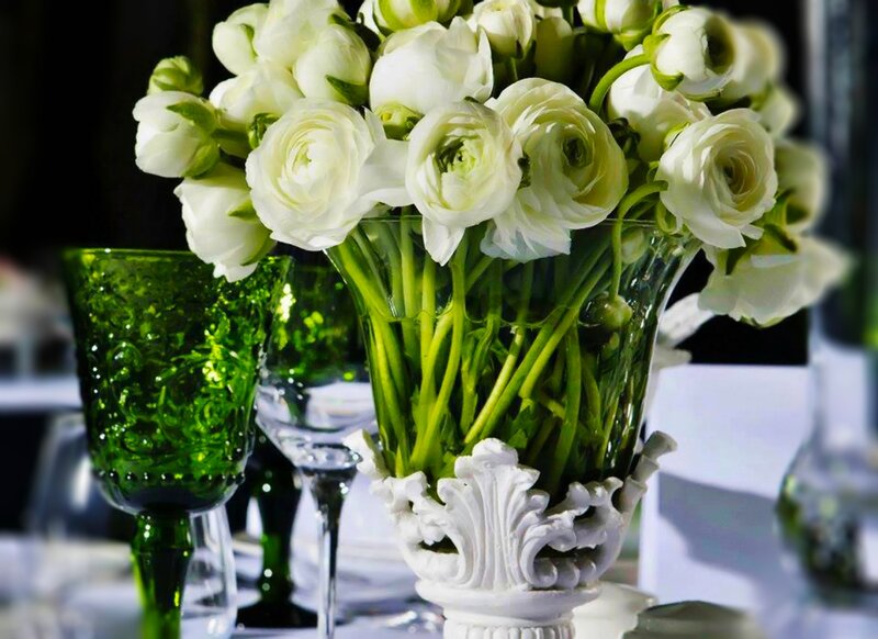White Flowers in Vase — Elegant