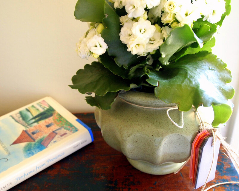 White Flowers in Vase — Green, Calm
