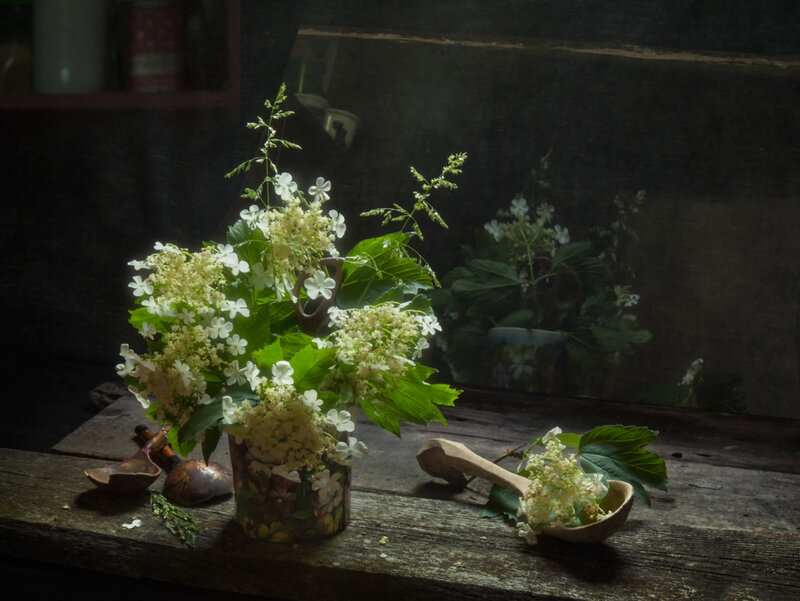 White Flowers in Vase — Green, Dramatic