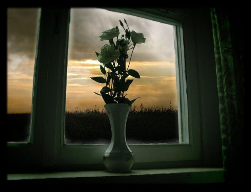 White Flowers in Vase — Green