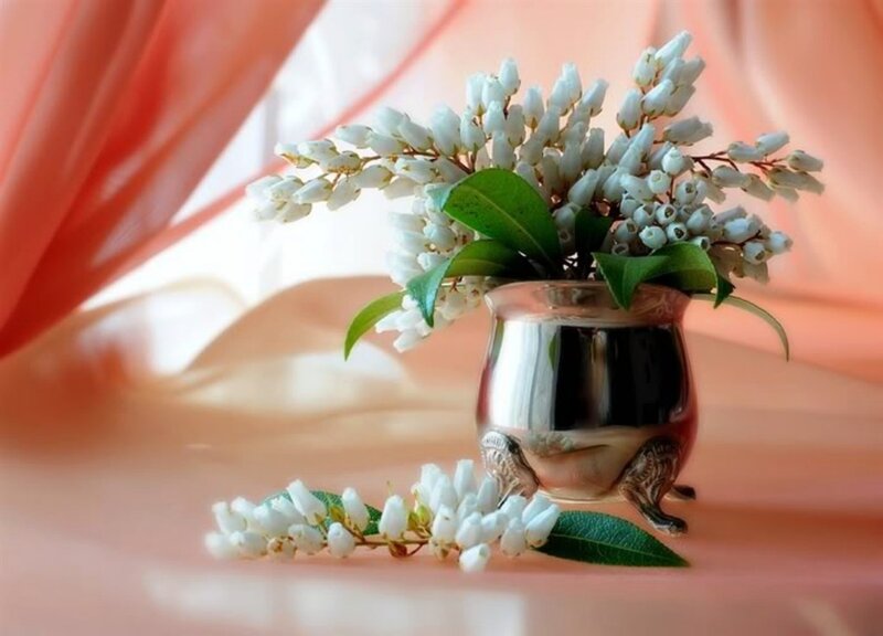 White Flowers in Vase — Pink