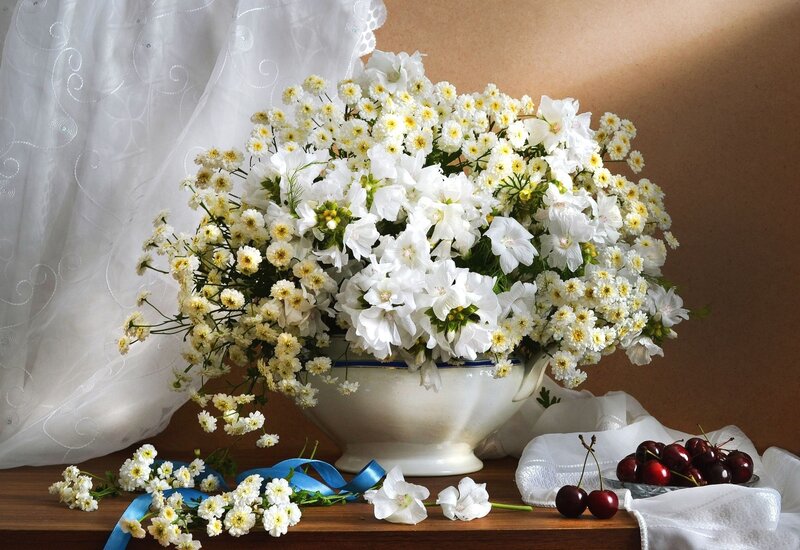 White Flowers in Vase — Serene, Afternoon