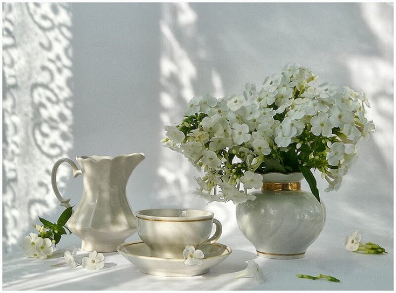 White Flowers in Vase — Serene, Morning, Photograph, Teacup, Pitcher
