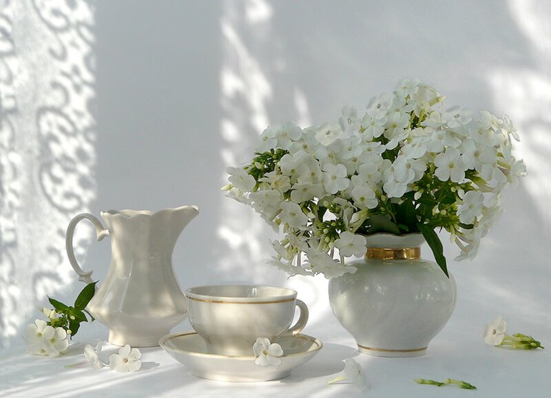 White Flowers in Vase — Serene, Morning, Photograph, Teacup
