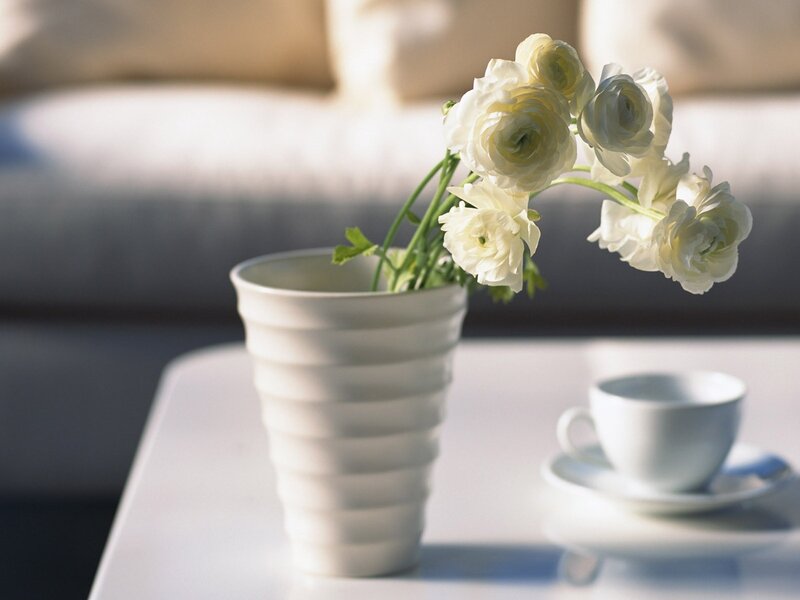 White Flowers in Vase — Serene, Morning, Photograph