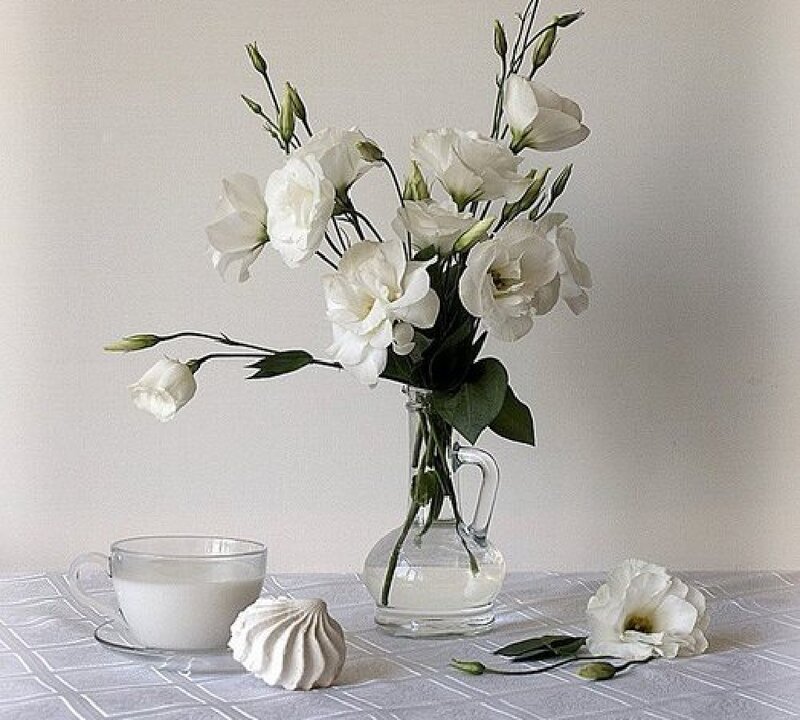 White Flowers in Vase — Serene, Photograph, Cup, Meringue