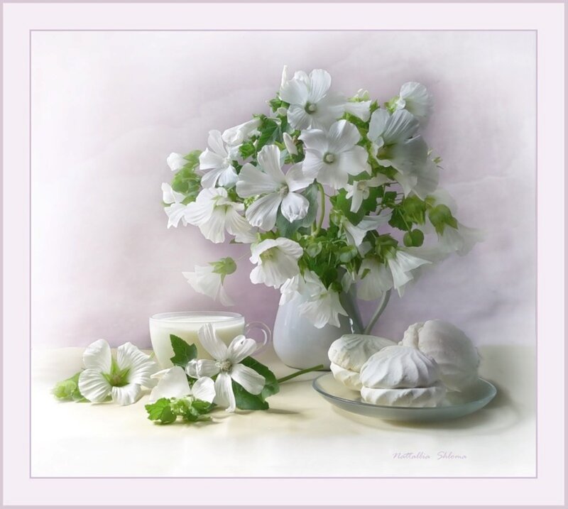 White Flowers in Vase — Serene, Photograph, Cup, Meringues