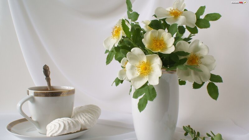 White Flowers in Vase — Serene, Photograph, Cup, Saucer