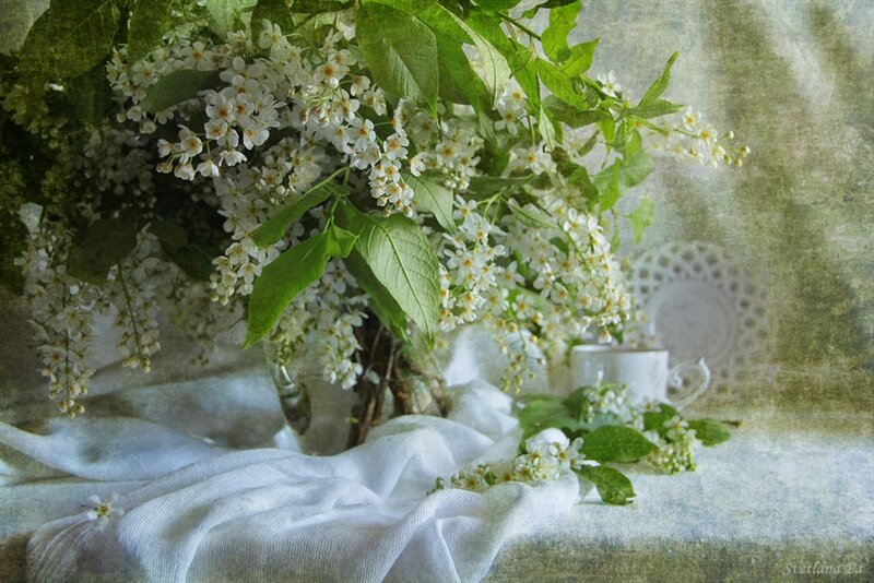 White Flowers in Vase — Serene, Photograph, Cup