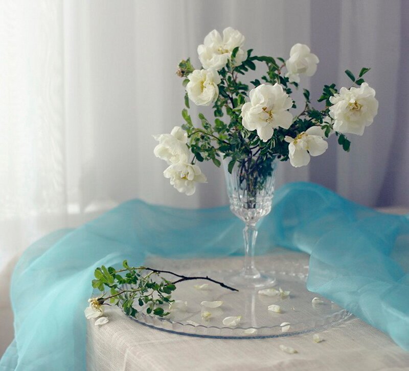 White Flowers in Vase — Serene, Photograph, Tablecloth