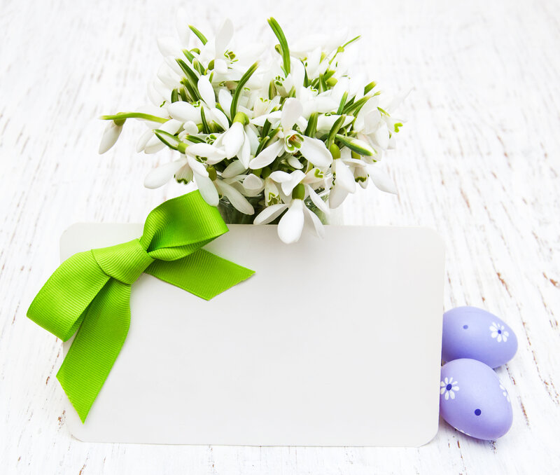 White Flowers in Vase — Serene, Spring, Photograph, Green Ribbon