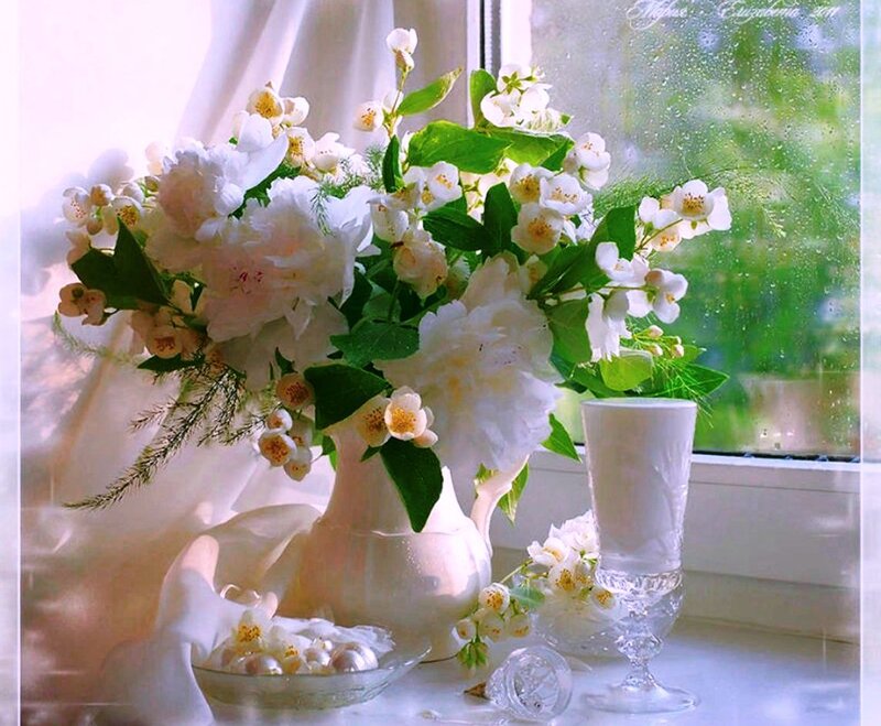 White Flowers in Vase — Serene, Spring, Photograph