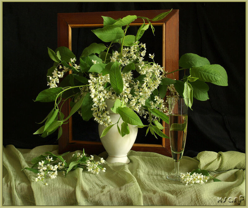 White Flowers in Vase — Serene