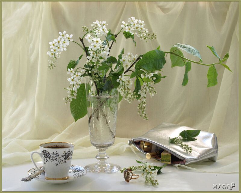 White Flowers in Vase