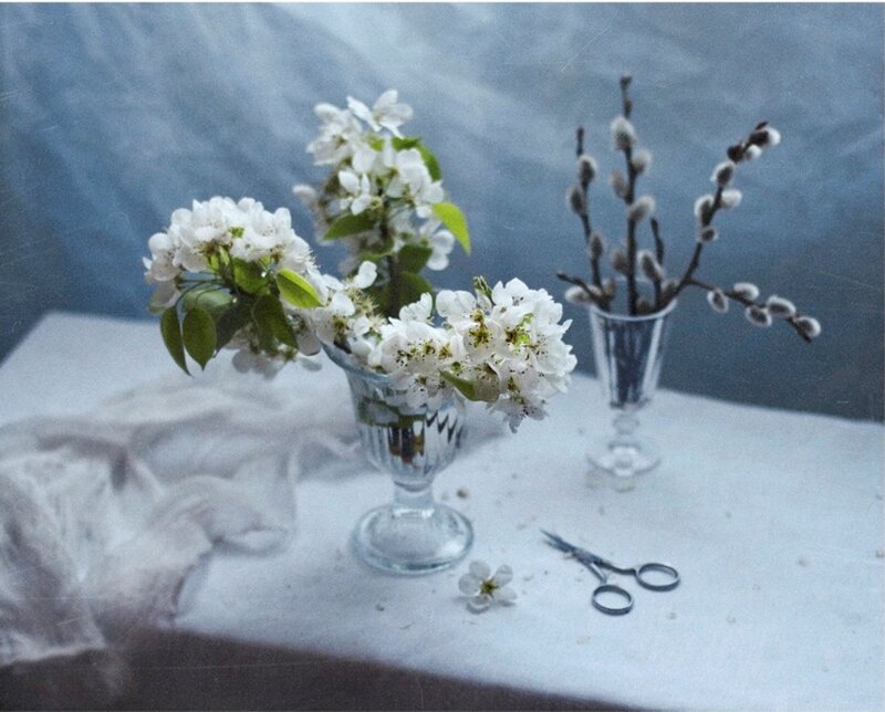White Flowers in Vases — Blue