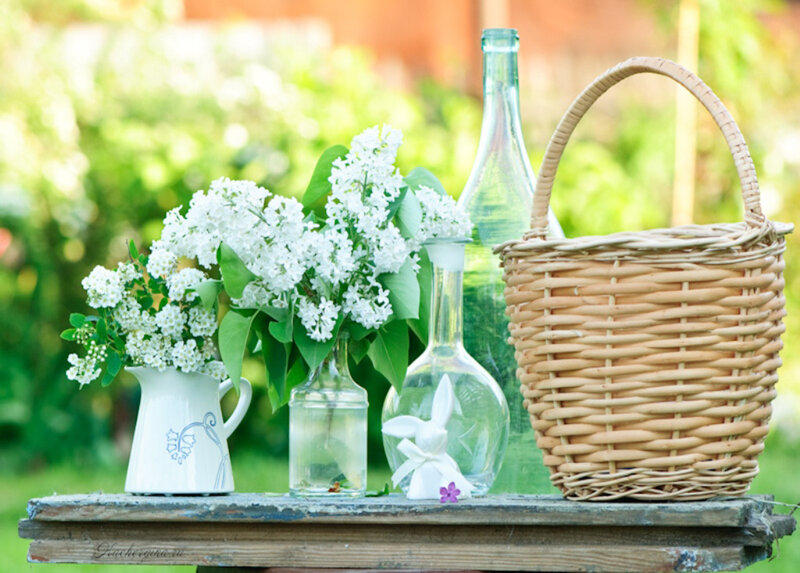 White Flowers in Vases — Green
