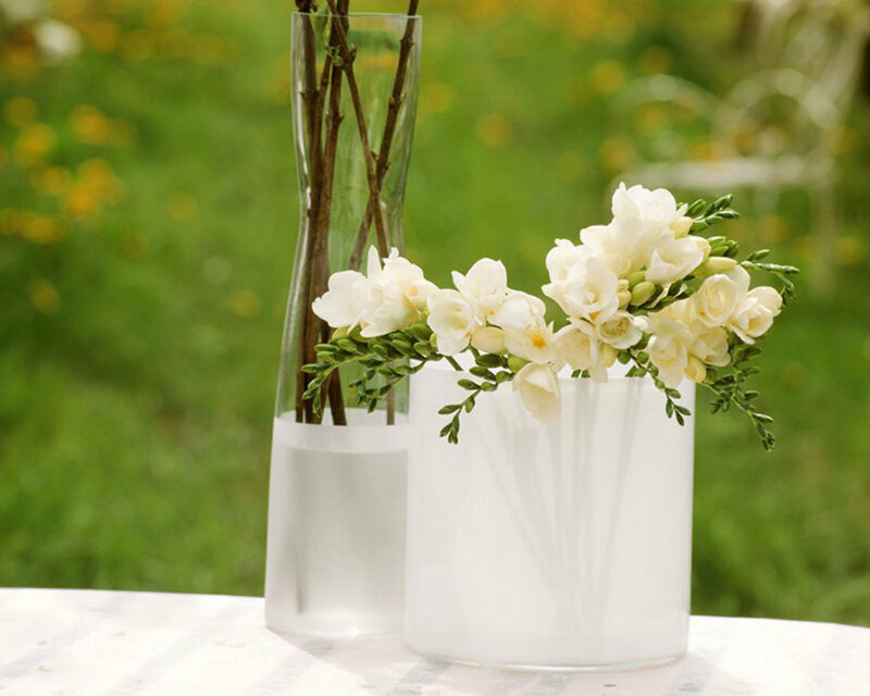 White Flowers in Vases — Serene, Afternoon