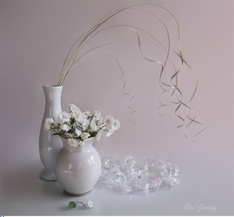 White Flowers in Vases — Serene, Photograph