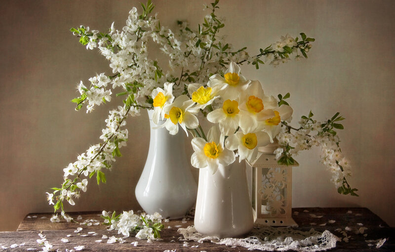 White Flowers in Vases — Serene, Spring