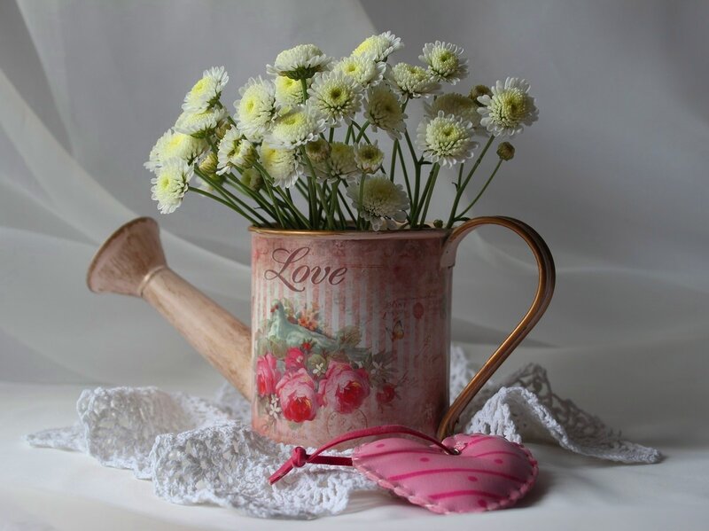 White Flowers in Watering Can
