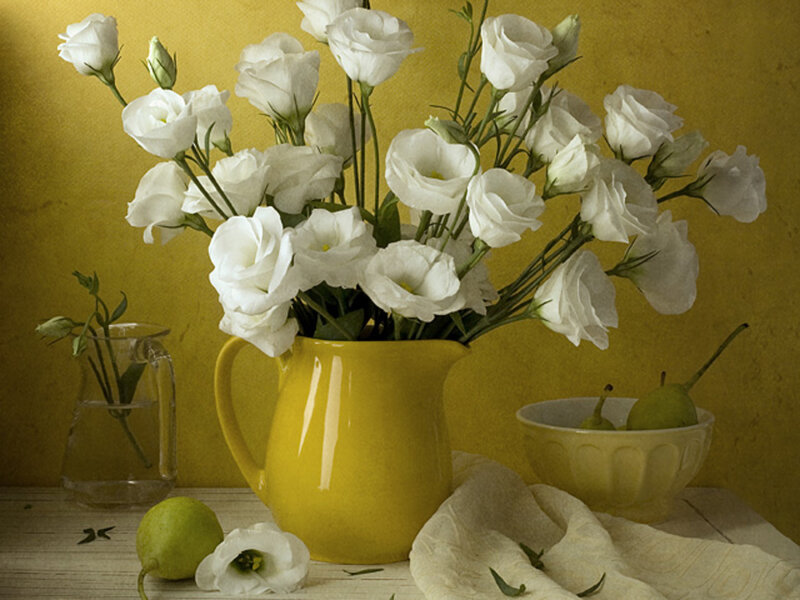 White Flowers in Yellow Pitcher — Calm