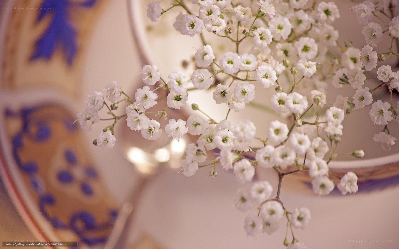 White flowers on a plate