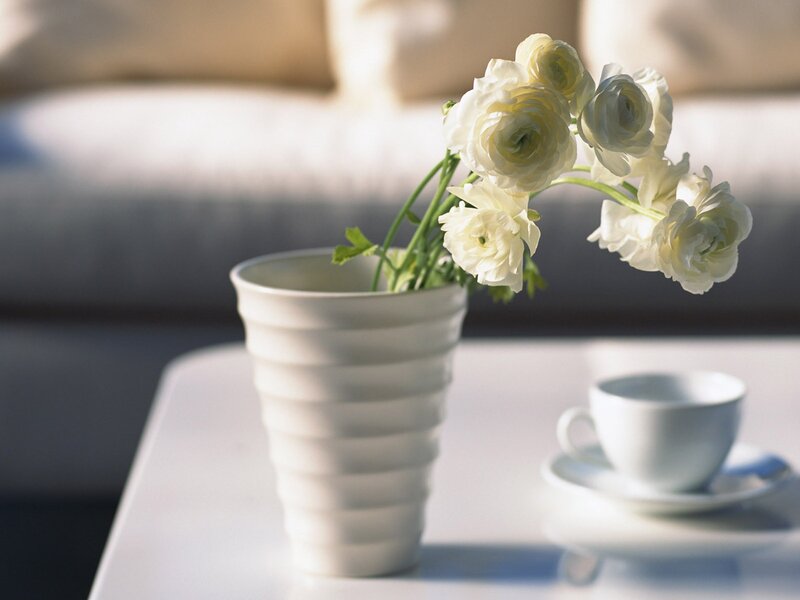 White flowers on a table